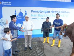 Idul Adha 1447 H/2026, YBM BRILiaN dan Bapekis BRI Se-Indonesia Salurkan 5000 Hewan Kurban
