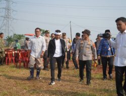 Dorong Swasembada Pangan, Bupati dan Kapolres Purwakarta Gelar Panen Raya Jagung di Campaka 