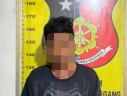 Curi 13 Tandan Sawit di Kebun PTPN IV, Pemuda 27 Tahun Diamankan Polisi