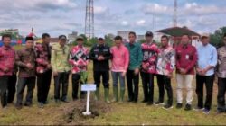 Dongkrak Perekonomian Masyarakat, Bupati Pelalawan Tanam Bibit Pohon Aren di Kecamatan Kuala Kampar