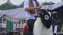 Bupati, Cecep Resmi Buka Pesta Patok Domba Tingkat Kabupaten Tasikmalaya