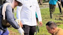 Pimpin Penanaman Bibit Pohon di Pangkalan Kerinci, Bupati Pelalawan Investasi Jangka Panjang Akan Dirasakan Generasi Mendatang