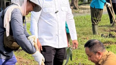 Pimpin Penanaman Bibit Pohon di Pangkalan Kerinci, Bupati Pelalawan Investasi Jangka Panjang Akan Dirasakan Generasi Mendatang