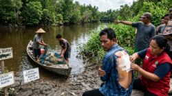 Seorang Nelayan Diterkam Buaya di Perairan Sungai Manasib