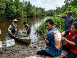 Seorang Nelayan Diterkam Buaya di Perairan Sungai Manasib