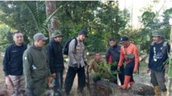 Dukung Program Pemerintah, Perhutani KPH Bandung Utara Bersama BPBD Subang Laksanakan Penanaman Pohon di Lokasi Wisata Hutan 