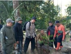 Dukung Program Pemerintah, Perhutani KPH Bandung Utara Bersama BPBD Subang Laksanakan Penanaman Pohon di Lokasi Wisata Hutan 
