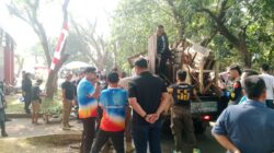 Wali Kota Tasikmalaya, Viman Alfarizi Lakukan Penataan Jogging Track Dadaha