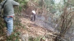 Kebakaran Hutan Burangrang, Polisi Bersama Warga Padamkan Api dengan Teknik Kepyok Api