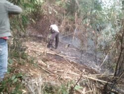 Kebakaran Hutan Burangrang, Polisi Bersama Warga Padamkan Api dengan Teknik Kepyok Api