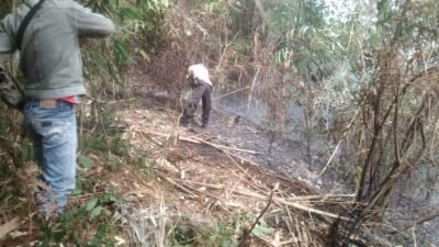 Kebakaran Hutan Burangrang, Polisi Bersama Warga Padamkan Api dengan Teknik Kepyok Api