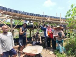 Kelompok Tani Makmur Sejahtera Targetkan Sepuluh Ribu Polibek Cengek Mahkota Dompo, Harapkan Dukungan Dinas Terkait