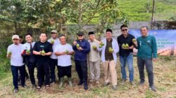 BAZNAS Jabar Bersama Para Petani Binaan Yayasan Balad Mayapada Mahardika Gelar Panen Raya Buah Alpukat