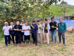 BAZNAS Jabar Bersama Para Petani Binaan Yayasan Balad Mayapada Mahardika Gelar Panen Raya Buah Alpukat