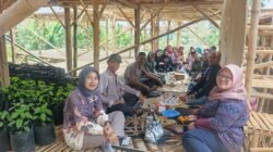 Perempuan Pamijahan Bergerak! KWT Kelompok Tani Kembangkan Cabai, Perkuat Ketahanan Pangan