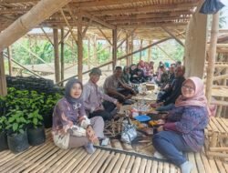Perempuan Pamijahan Bergerak! KWT Kelompok Tani Kembangkan Cabai, Perkuat Ketahanan Pangan
