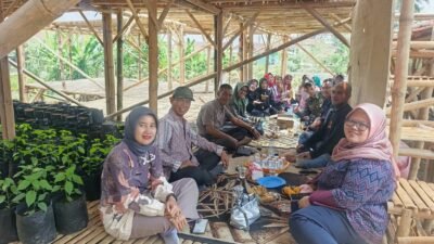 Perempuan Pamijahan Bergerak! KWT Kelompok Tani Kembangkan Cabai, Perkuat Ketahanan Pangan